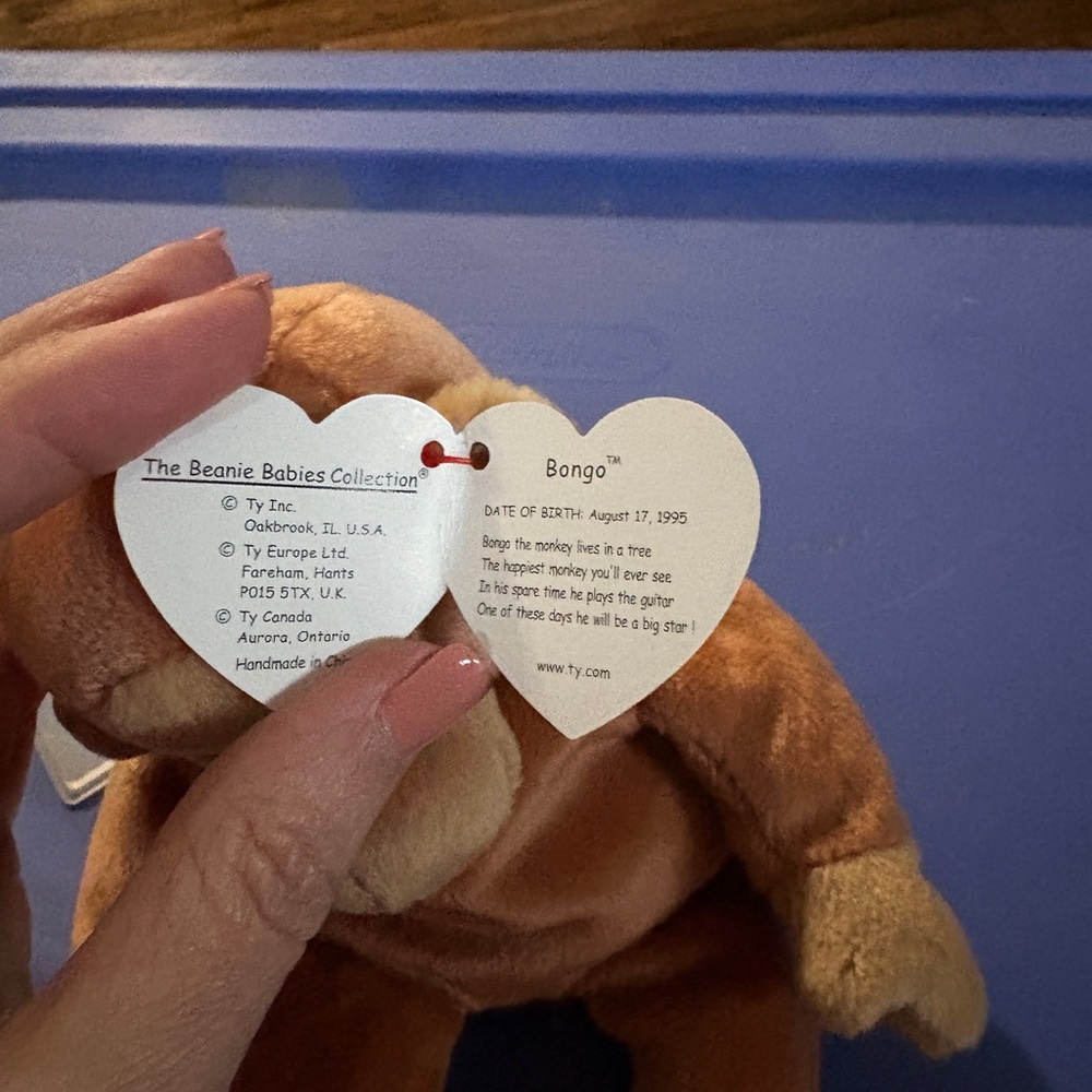 Ty Beanie Baby Bongo Plush in Brown